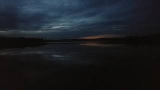 Wolf howling and Loon calls in Algonquin park