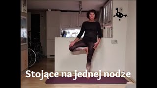 Pozycje stojące na jednej nodze