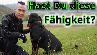 Warum Dir online Hundecoaching (nicht) helfen kann!