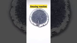 Amazing chemical reactions #experiment #science #learnandfun #reaction #chemistry