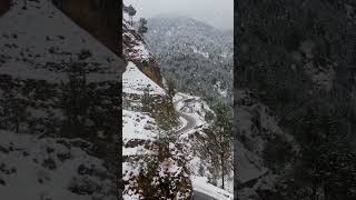 Dir lower🇵🇰😍 #beautiful #beauty #snowfall #snow #pakistan #islamabad #kashmir #shorts #shortsvideo