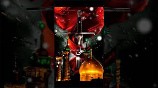 janam fida e haideri ya Ali - Muharram status video -Muharram Short status 2024-WhatsApp status 2024