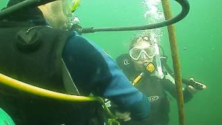 PADI Open Water Training Dive | Columbus, OH | Underwater Connection