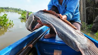 Chuyện lạ! Đi thăm  dớn bắt được thủy quái có  1 không 2 / Caught a rare fish that's one of a kind