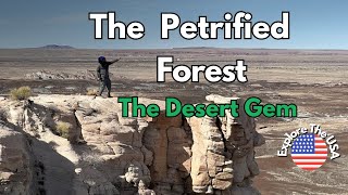 The Petrified Forest National Park is a treasure