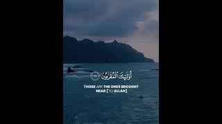 Surah Waqiya Ayat 10 to 18 |Reward for good deeds| short islamic video |whatsapp  status