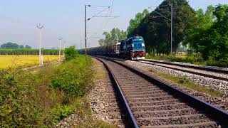 WDM3A hauled Oil containers rushing towards Jalandhar.