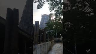 Thiruchendur Temple Gopura Darisanam || Pls Subscribe and get more videos...