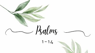 Who Will Show us What is Good? | Psalm 4