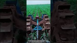 The process of the automatic tiller tilling the soil for corn.