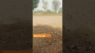 Farming #viralvideo #frming #farming #viral