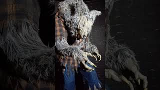 #Halloween #Farm #leicester catwell farm #werewolf