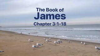 James Chapter 3 • NLT New LivingTranslation • verse 1-18 with audio, text and ocean background