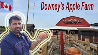 Downey Farm In Canada | Apple pickup in Canada | Farm visit in canada | Pak Punjab