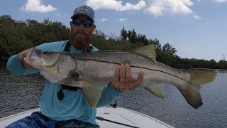 FISHING THE MANGROVES FOR GIANT SNOOK