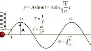 Simple harmonic motion | physics