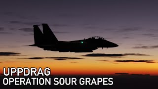 DCS Uppdrag: Operation Sour Grapes