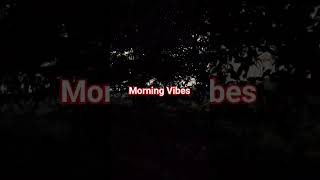 morning vibes #reels #youtubeshorts #trending #viral #climate #nature #viralreels #vibes