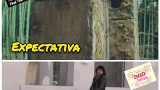 Principe espectativa vs realidad