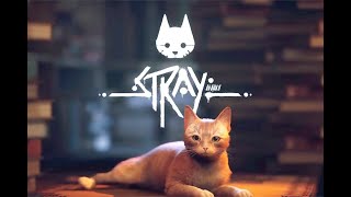 Новогодний стрим и лучшая игра 2022! STRAY