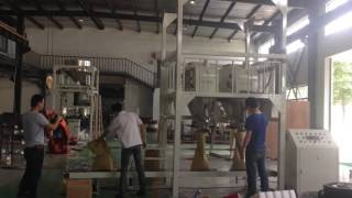 Double station semi auto packing machine