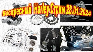 Воскресный Harley-Стрим 28.01.2024.Фоновая тема-Полезные механизмы  для  улучшения  Harley-Davidson!