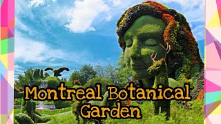 Montreal Botanical Garden | Ysay dale