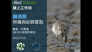 eBird Taiwan線上工作坊 - 鷸鴴類辨識與紀錄要點 2022.7.19