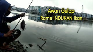 Cara mancing indukan ikan! spot ikan mujair di muara baru terbaru