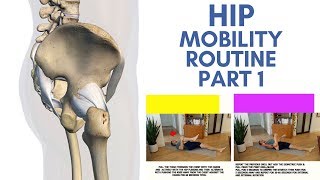 Hip Mobility Routine For Less Hip Stiffness And Low Back Pain Part 1