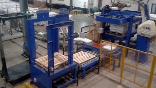 Hybrid Palletizer - By Fuji Ace Robotic palletizer #roboticpalletizer #fujirobotics