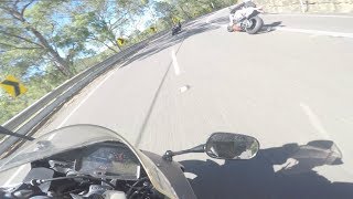 Cbr600rr Vs Panigale 1199 Vs RSV4R