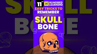 11th Biology Skull bones Easy tricks to Remember 💥 #skullbones #biology #tipsandtricks