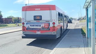 Calgary Transit 2008 New Flyer D40LFR #8066 on Route 38 Temple