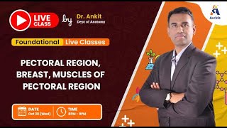 1st internals Anatomy on Upper limb pectoral region , breast, muscles of pectoral region by Dr Ankit