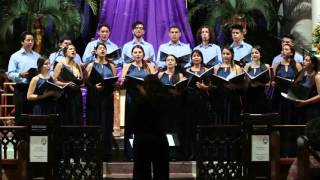 "Locus Iste" (Anton Bruckner) - Coro de Cámara Universidad de Medellín