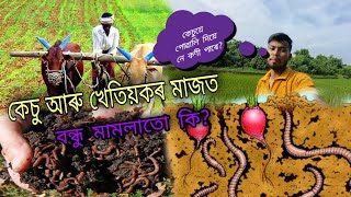 কেচু আৰু খেতিয়কৰ মাজত বন্ধুৰ মামলাতো কি?🤔 কেচুৱে পোৱালি দিয়ে নে কণী পাৰে?🤨 || earthworm||