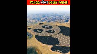 China's Panda Solar Plant 😲😨 #shorts #facts #fact #amazingfacts #knowledge #ytshort #shortvideo