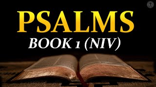 Psalms - Book 1 - Chapter 1 to 41 - New International Version Audiobook (Dramatized)