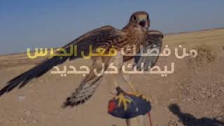 صقر الشرياص## سبحان الله 👈🏻🦅