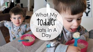 What My Toddler Eats In A Day | Easy Toddler Meal Ideas | Picky Eater |