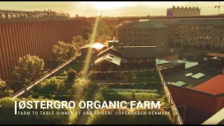 ØsterGRO Organic Rooftop Farm in Østerbro Copenhagen Denmark