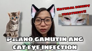 PAANO GAMUTIN ANG CAT EYE INFECTION | PAANO GAMUTIN ANG INFECTION SA MATA NG PUSA