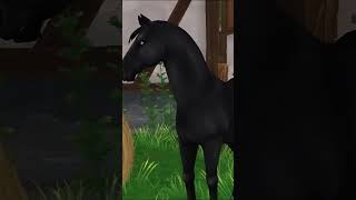 Viral Tik Tok Transition! #starstable #starstableonline #shorts #short #viral #tiktok #horse