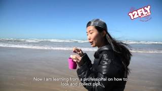 12fly TV - Rain with Murray Mouth Tours at Goolwa Beach, South Australia