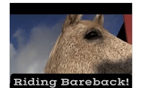 Bareback Horse Riding