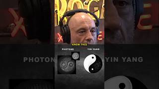 Rogan: Photons and the Yin-Yang Connection