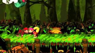 Donkey Kong Country 2 (Perfect Run): World 3, Level 1