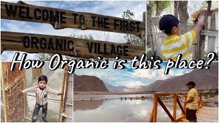 Is it the first Organic Village?