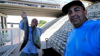 Pesca en bahía honda con un seguidor de mi canal